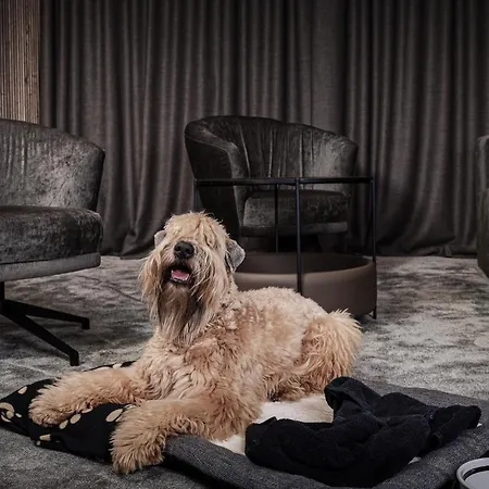 Mana Sleep&spa Hotel Druskininkai