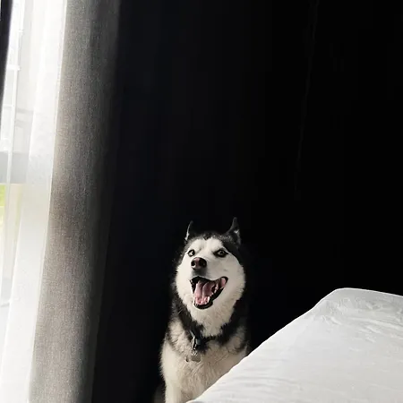 Mana Sleep&spa Druskininkai