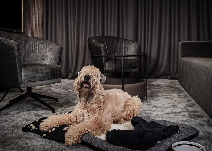 Mana Sleep & Otel Druskininkai