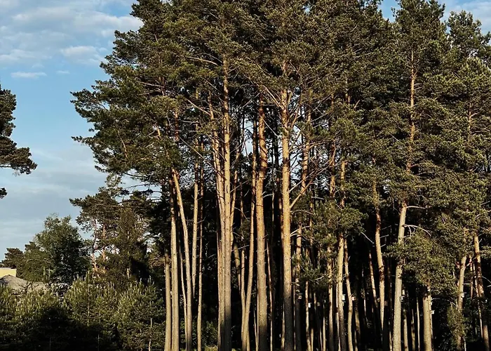 Mana Sleep & Druskininkai