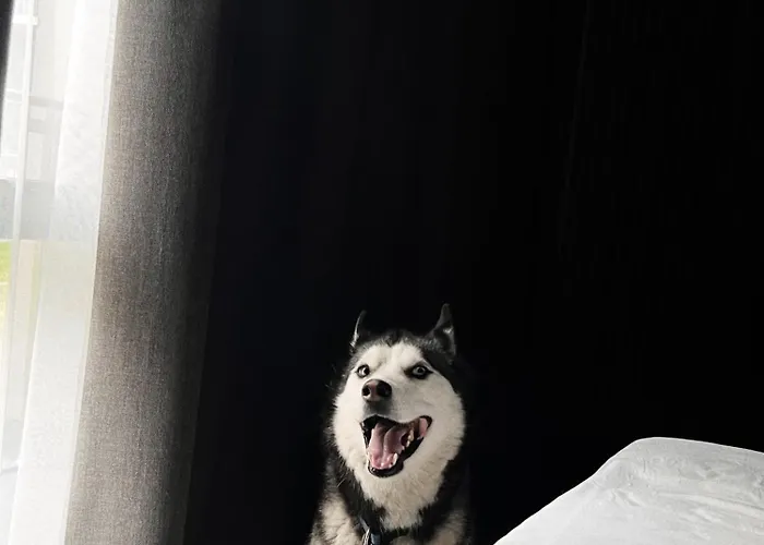 Mana Sleep & Druskininkai